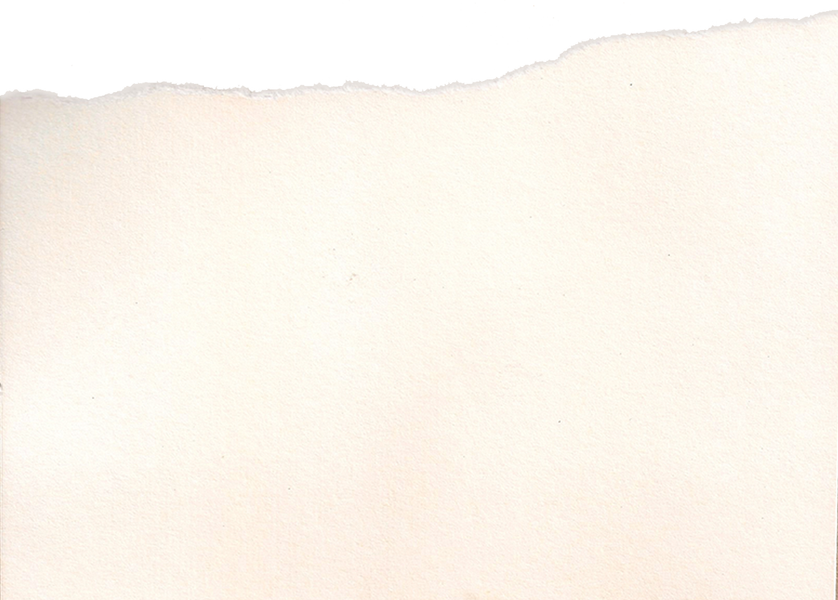 White Card Stock Paper with One Ripped Edge